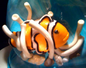 Clownfish.JPG